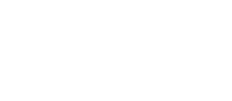fighting blindness canada logo