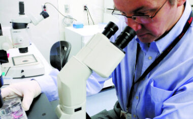 Andras Nagy in Laboratory