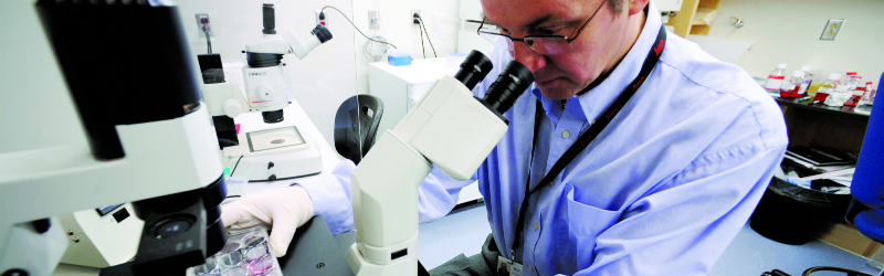 Andras Nagy in Laboratory