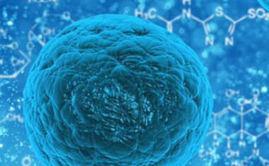 Spotlight on Stem Cells