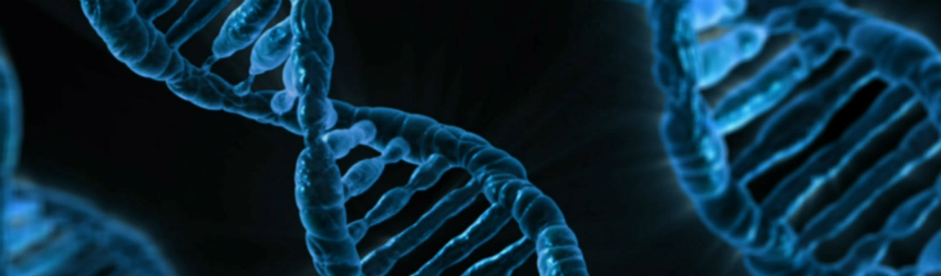 DNA Strand