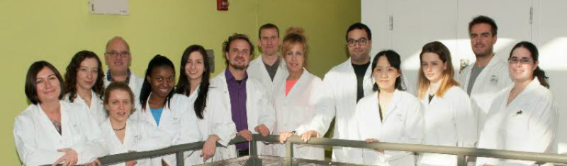 Mike Sapieha and his lab colleagues
