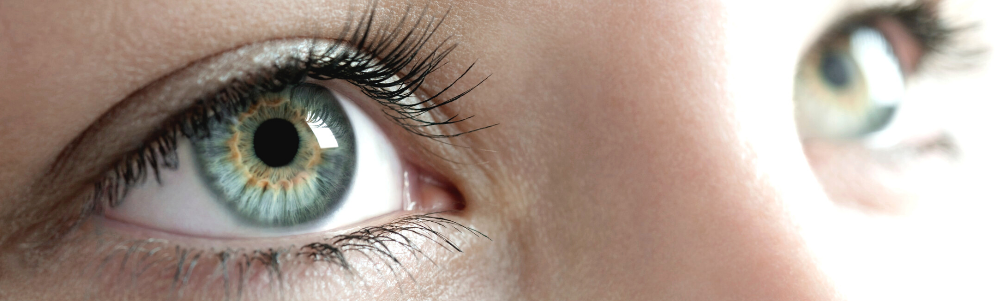close up photo of two eyes looking upwards