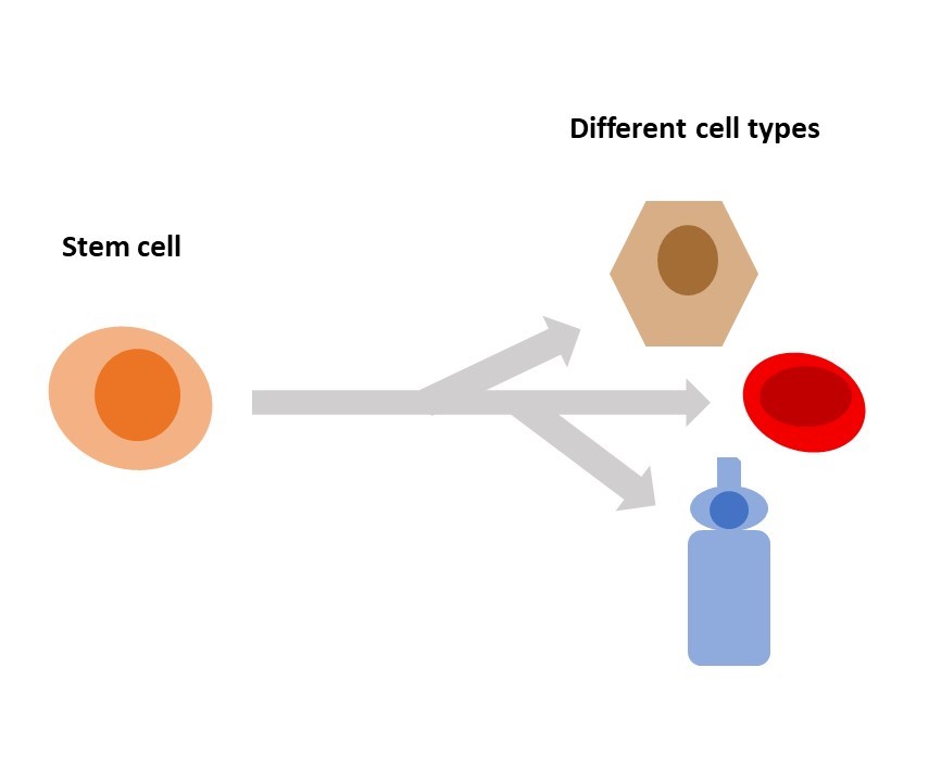 Denver Regenerative Medicine Treatment