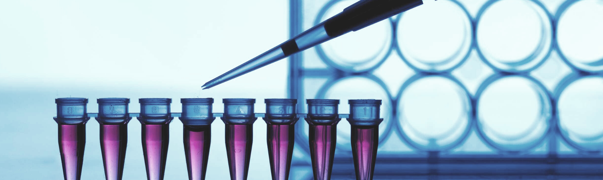 image of viles being filled with liquid