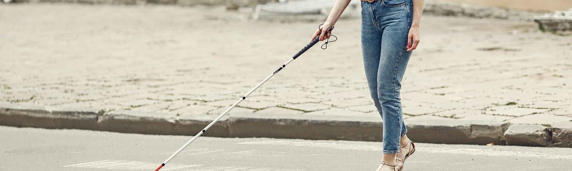 close up of seeing eye cane