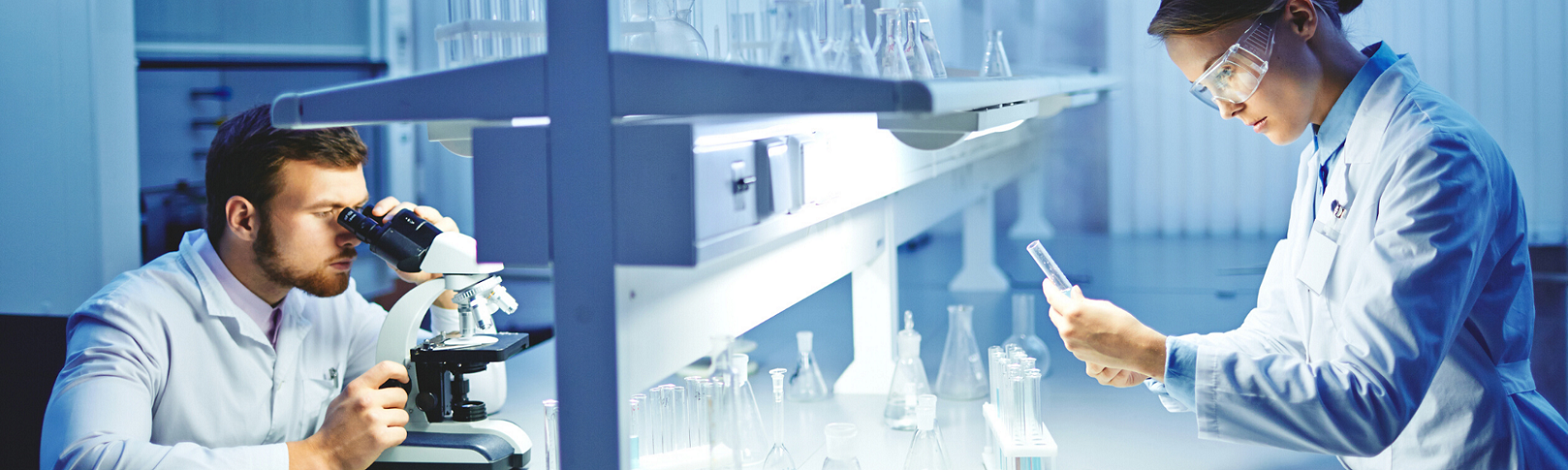 two researchers in a lab setting