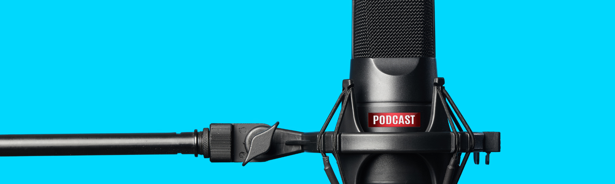 Image of a large microphone with text that reads 