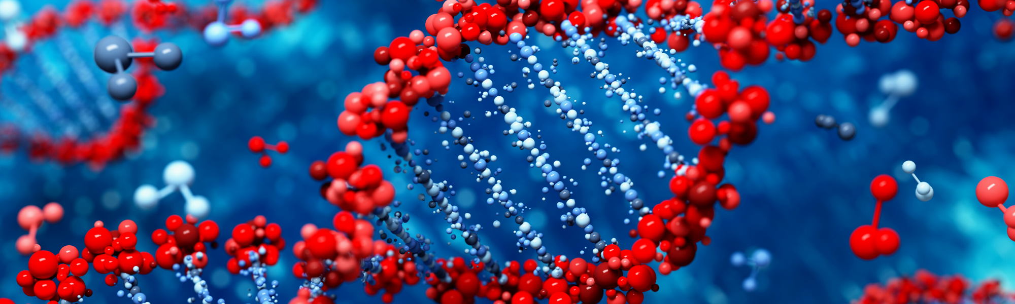Image is of DNA strands