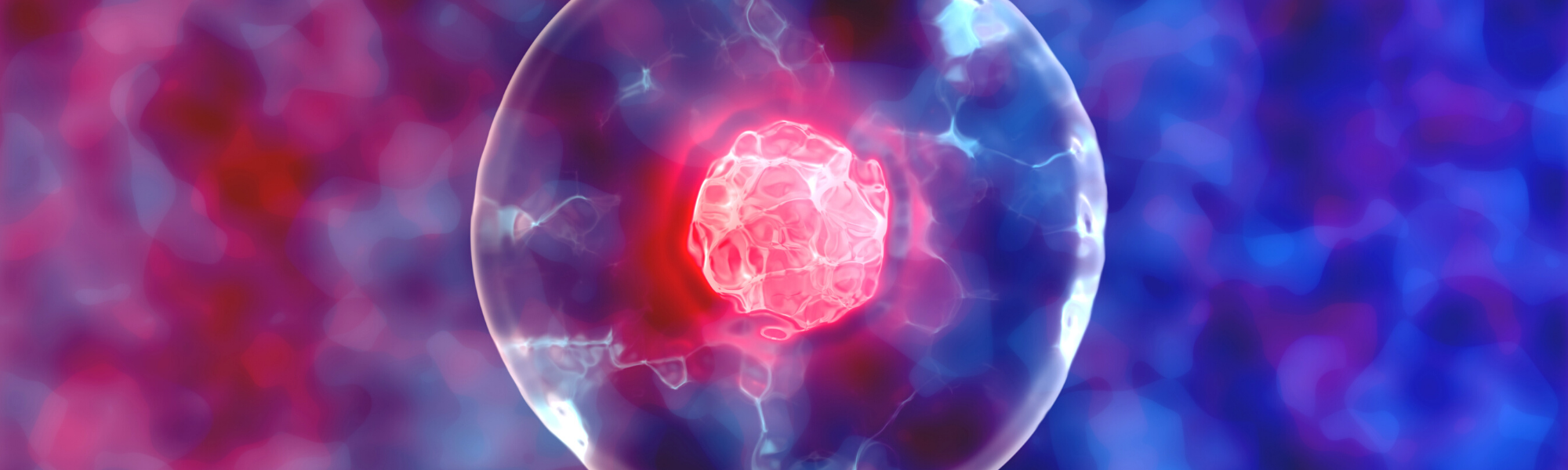 Image is of a human cell