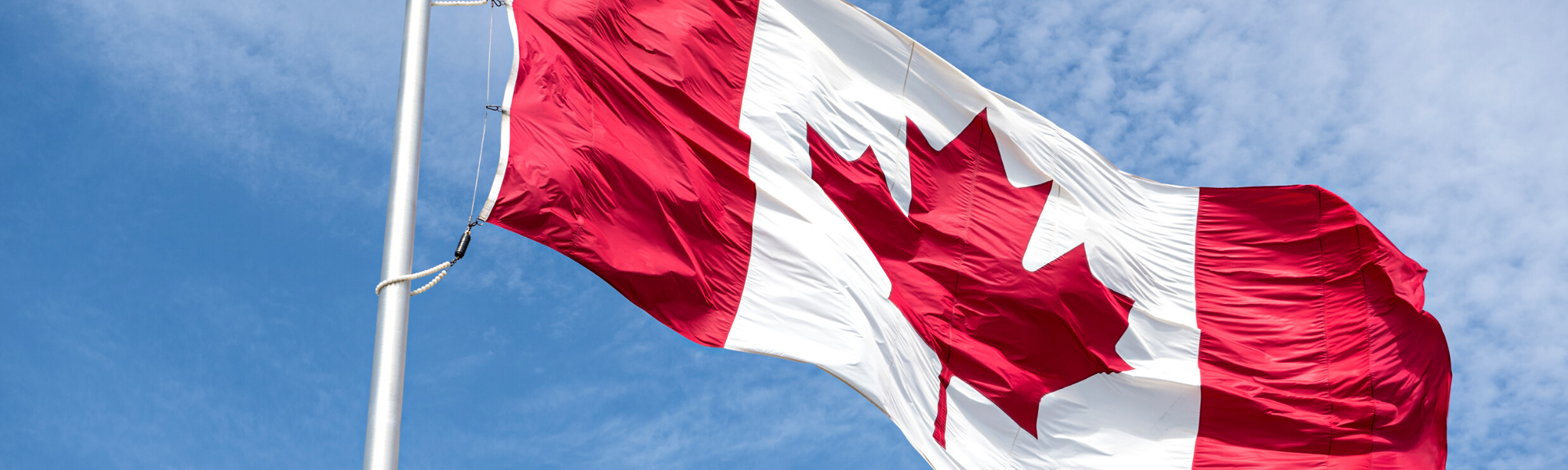 Image is of the Canadian Flag