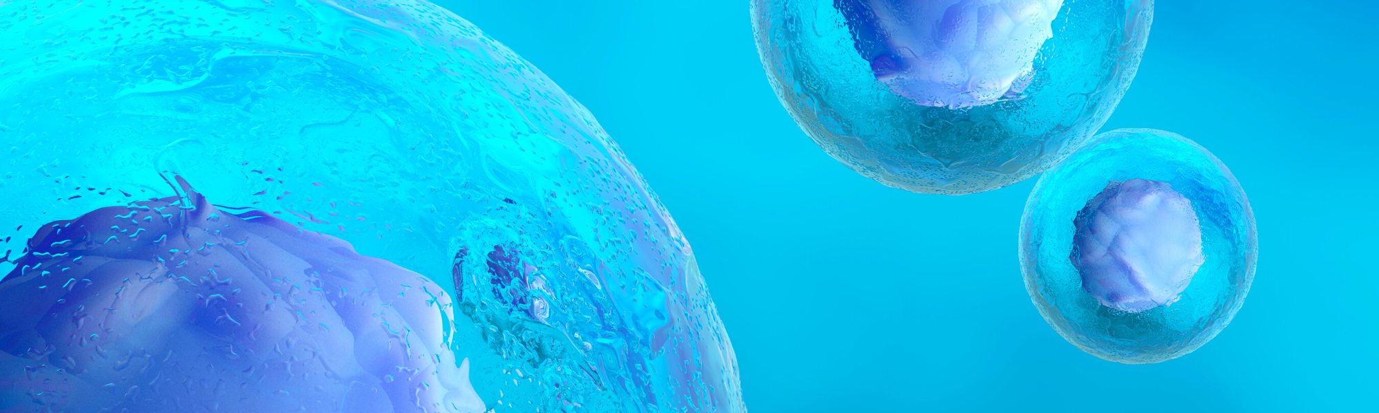 Image is of microscopic human cells