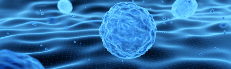 image is of microscopic stem cells