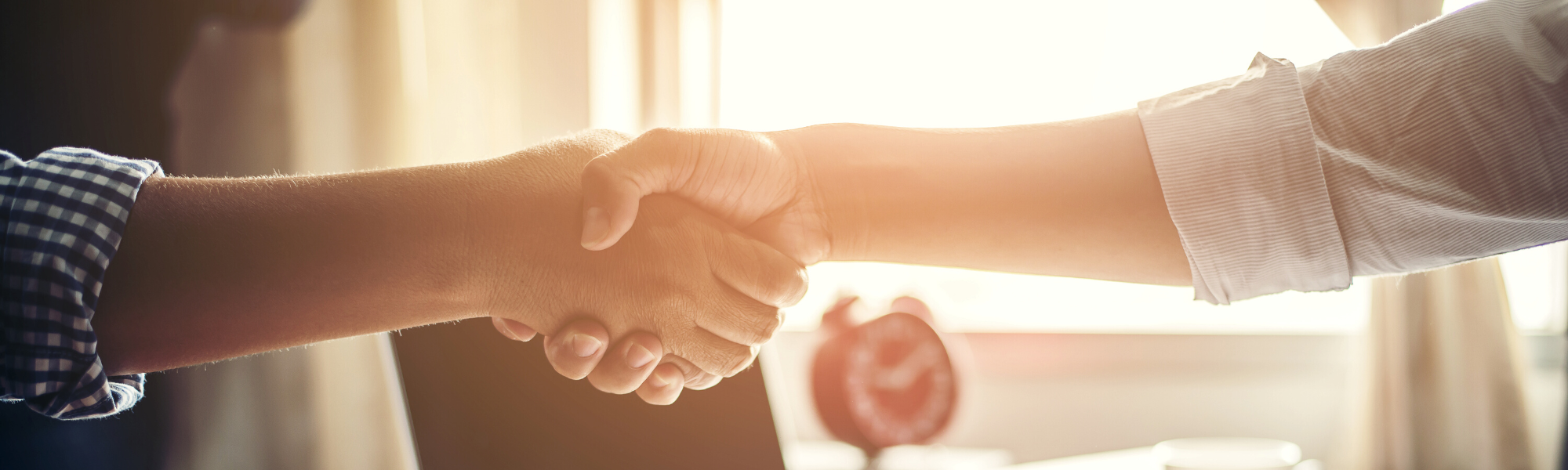 Image is of two opposing hands shaking eachother in greeting.