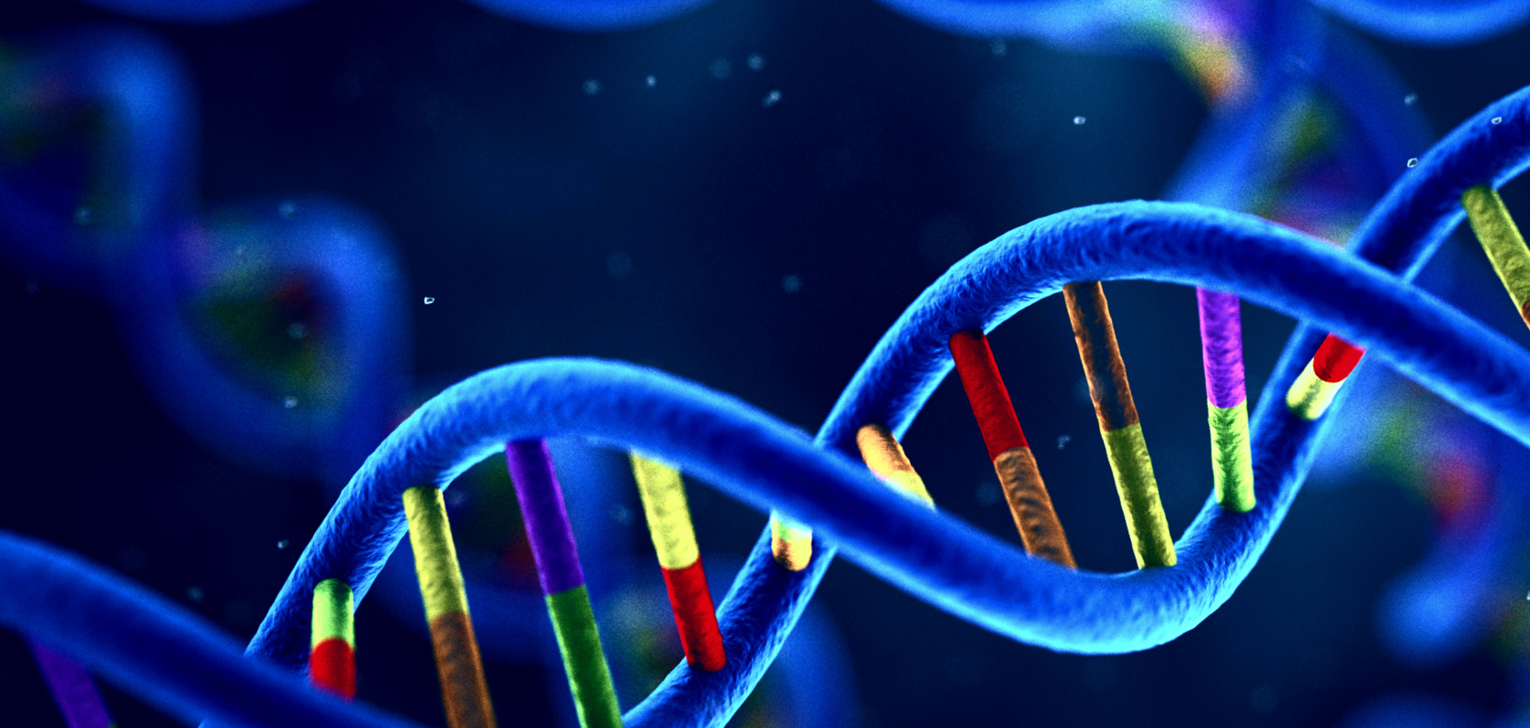 Image is of a digital rendering of a DNA strand.