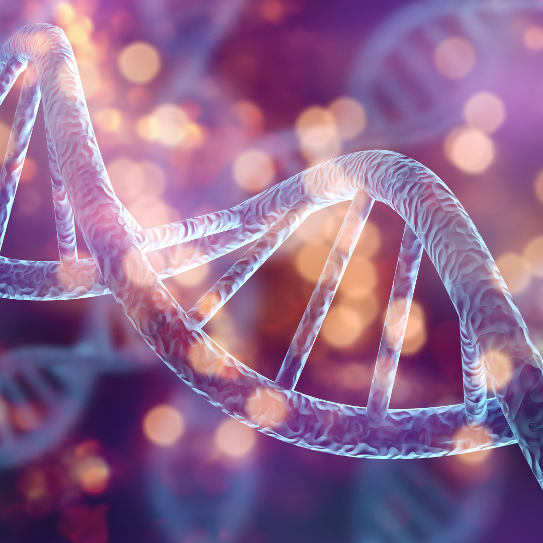 DNA strand