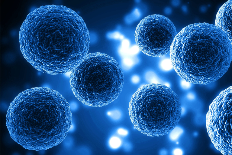 flow cytometry