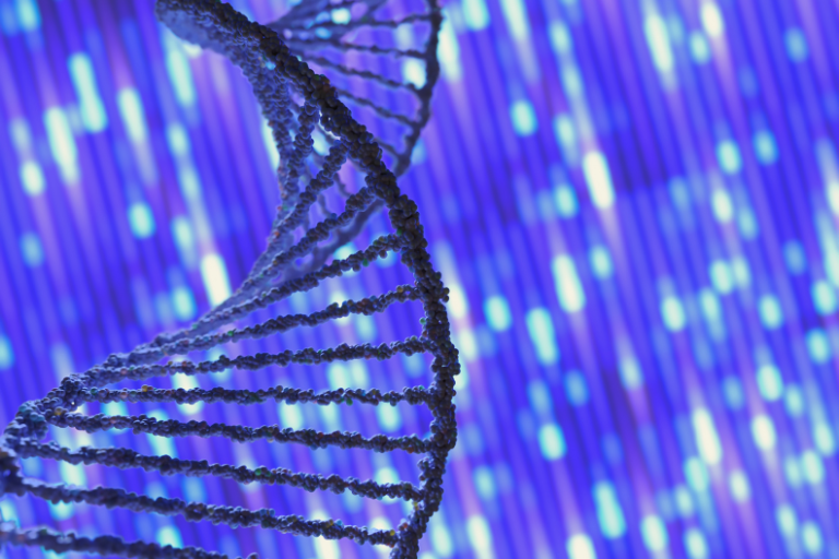 DNA strand