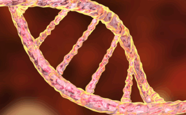 DNA strand