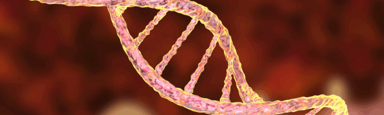 DNA strand