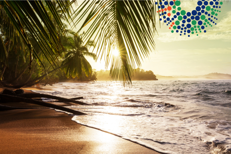 Palm trees, beach, ocean and an FBC iris icon